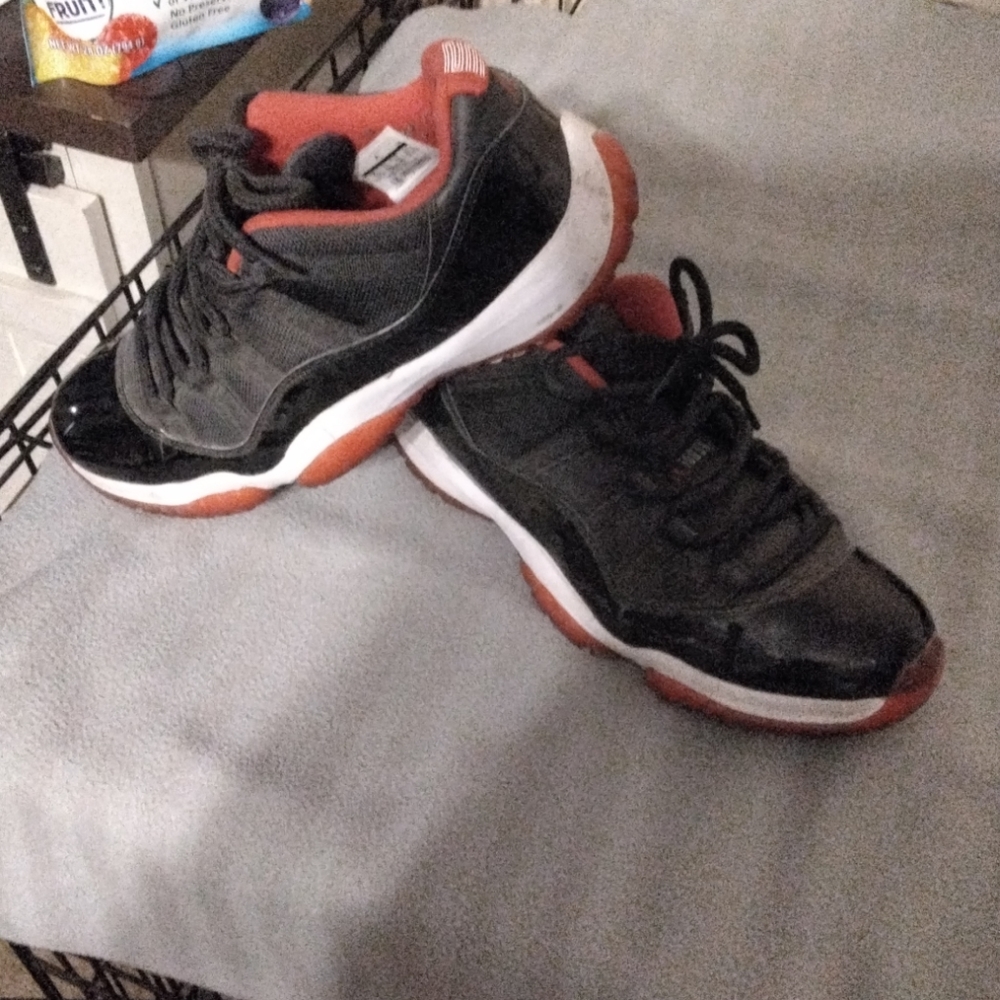 Jordan bred 11 low